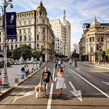 Like Home Stirbei Bükreş Dış mekan fotoğraf